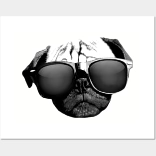 Pug Face in Sunglasses by AiReal Apparel Posters and Art